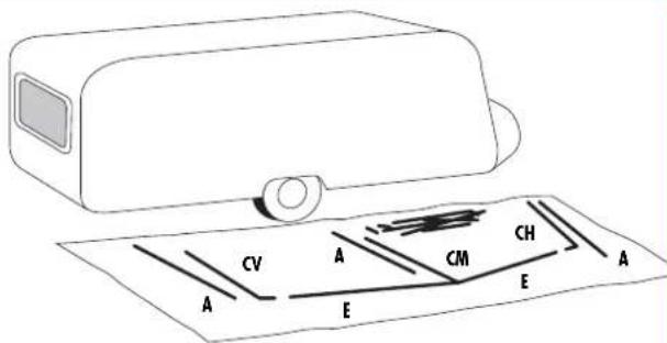 Isabella Buckingham - 3