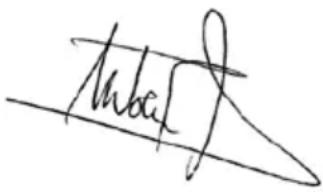 Eliet Snowbob 8014T - Remisage de la machine - 3