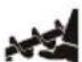 STIGA ST 3256 P - VAROITUS! - 5