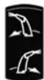 STIGA Pro 1171 HST - REGULESANAS PARSLEGS (23) - 1