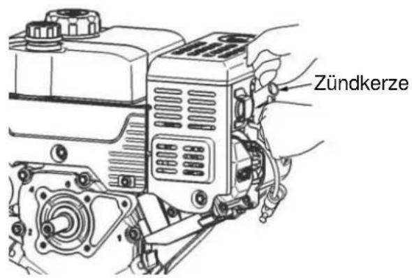 Texas Snow King 565 TG - Wartung der Zündkerze - 1
