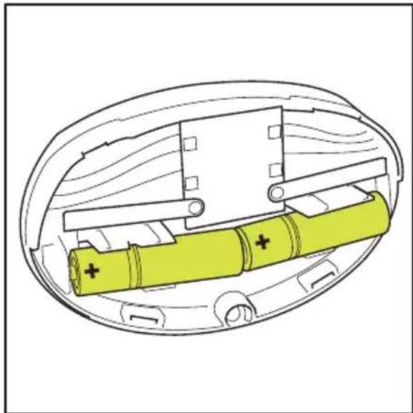 Sparta Amphion - Batterien - 5