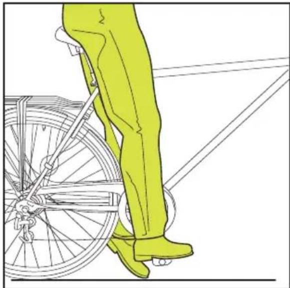 Sparta Amphion - Selle - 1