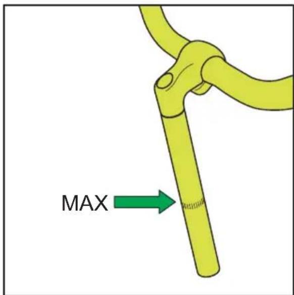 Sparta Amphion - Guidon - 1