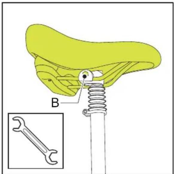 Sparta Amphion - Horizontalement - 2