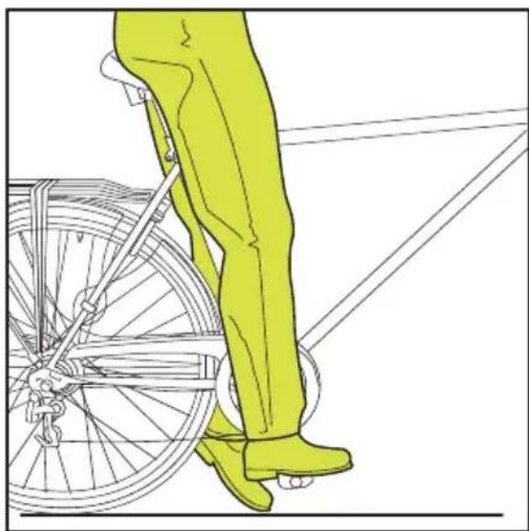 Sparta Amphion - Zadel - 1