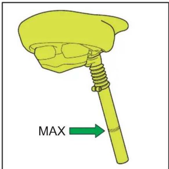 Sparta Amphion - Vertical - 2