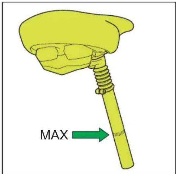 Sparta Amphion - Vertical - 2