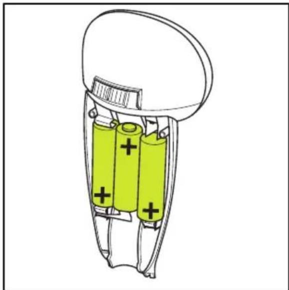 Sparta Amphion - Batterien - 7