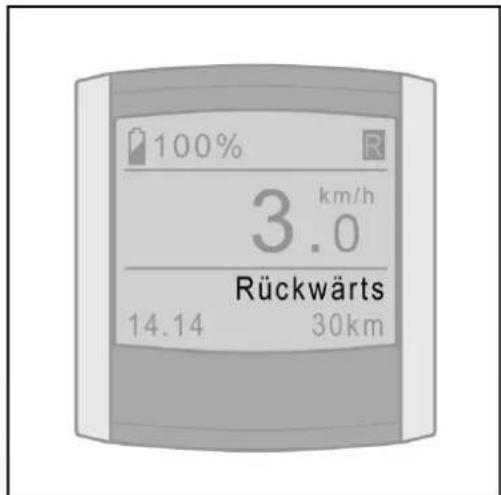 Batavus ION Technology - Schieberhilfe (vor- und rückwärts) - 3