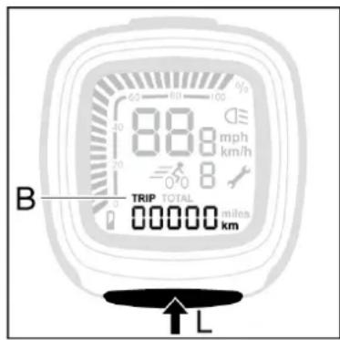 Batavus ION Technology - Dagafstand (B) - 1