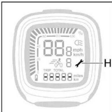 Batavus ION Technology - Service-Anzeige - 1
