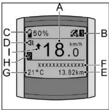 Batavus ION Technology - Display - 1