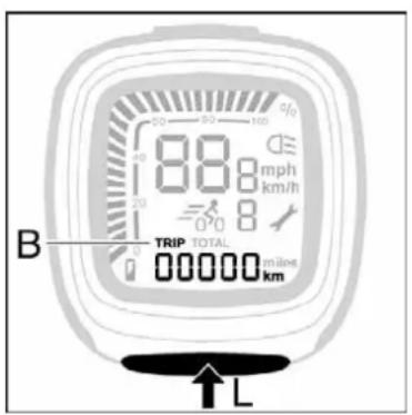 Batavus ION Technology - Tagesstrecke (B) - 1