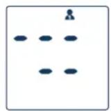 Visomat Double Comfort - Commande de l'appareil - 2