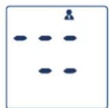 Visomat Comfort Form - Cancellazione dei dati - 2