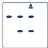 Visomat Comfort 40 - Cancellazione dei dati - 2