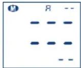 Visomat Comfort 20 - C - 1