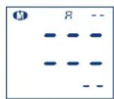 Visomat Comfort 20 - Uso dell'apparecchioUso dell'apparecchio - 2