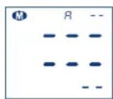 Visomat Comfort 20 - Operating the unit - 1