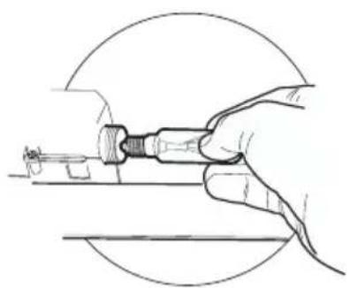 Dominox DA 6014 XS - Gluhlampen 40W - 1