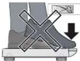 SECA 877 - Dommage matériel - 1