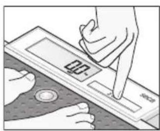 SECA 877 - Vejning af spædbørn/ små børn (2 in 1) - 1