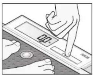 SECA 877 - Pesatura di neonati/ bambini piccoli (2 in 1) - 1