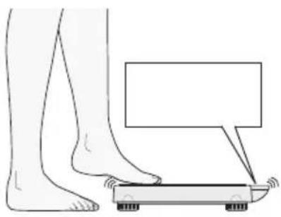 SECA 877 - Mettre l'appareil sous tension - 1
