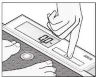 SECA 877 - Peser les nourrissons/les jeunes enfants (2 in 1) - 1