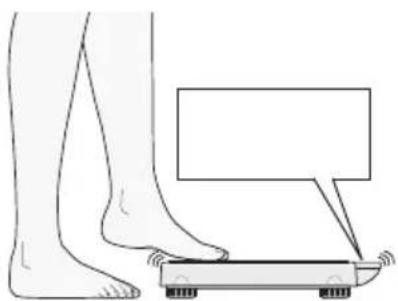 SECA 877 - Switching on the device - 1