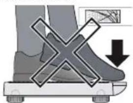 SECA 877 - ATENÇAO! Danos do aparelho - 1