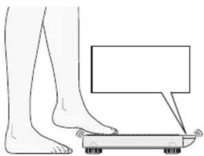 SECA 877 - Gerätainschalten - 1