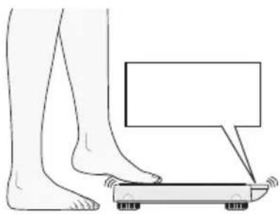 SECA 877 - Tænding af apparatet - 1