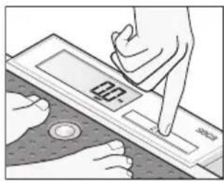 SECA 877 - Pesar bebés/niños\ pequeños (2 en 1) - 1