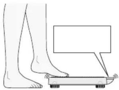SECA 877 - Ligar o aparelho - 1