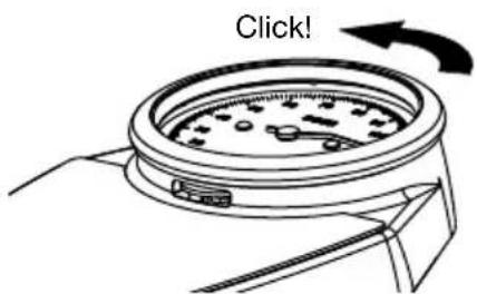 SECA 762 - Czyszczenie pierścienia podziałkowego i podziałki - 1