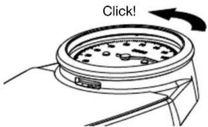 SECA 762 - Limpar o anel da escala e a escala - 1