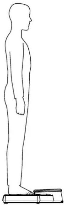 SECA 762 - Pesatura - 1