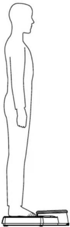 SECA 762 - Performing weighing - 1