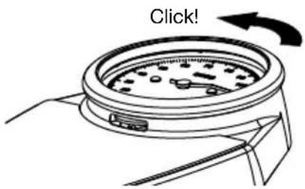 SECA 762 - Limpieza del anillo graduado y la escala - 1