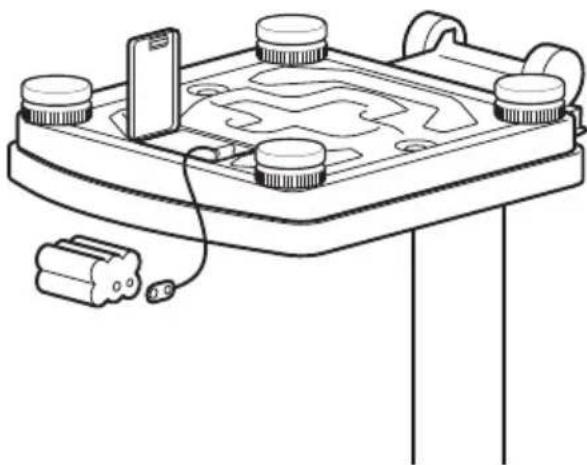 SECA 799 - Achten Sie auf die richtige Polung. - 1