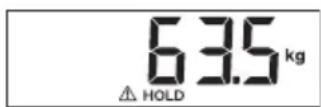 SECA 799 - Zatrzymywanie wyniku ważenia (HOLD) - 2