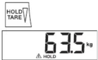 SECA 799 - Lagring af vægtværdien (HOLD) - 1