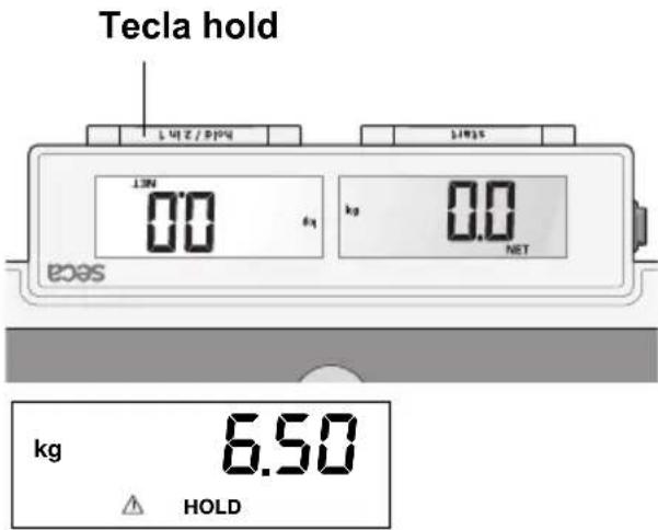 SECA 878 - Memorizar o peso (HOLD) - 1