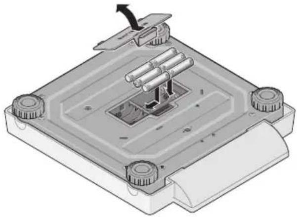 SECA 878 - Achten Sie auf die richtige Polung. - 1