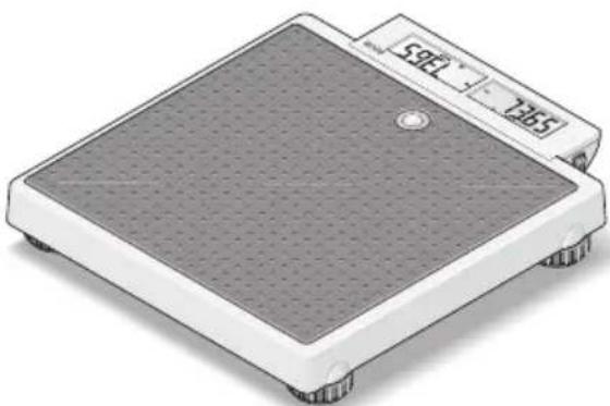 SECA 878 - Colocación de la báscula - 1