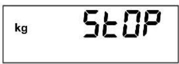 SECA 878 - Para pesar correctamente - 2