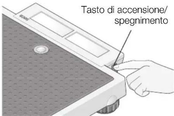 SECA 878 - Fate attenzione che la polarità sia giusta. - 2