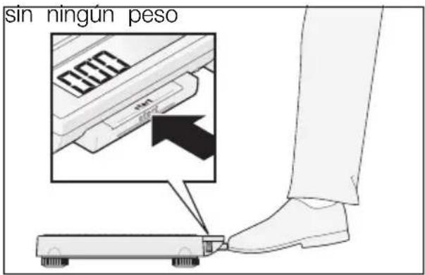 SECA 878 - Para pesar correctamente - 1